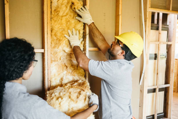 Best Insulation Contractors for Homes  in Kutztown University, PA